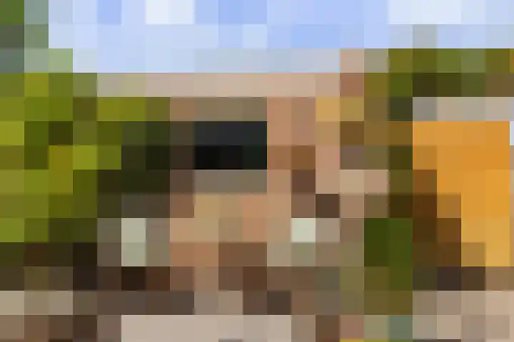 Mansardehof 19 Apeldoorn thumbnail 21