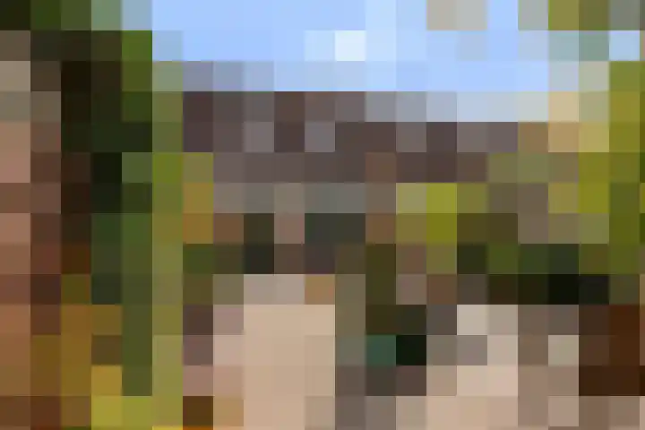 Mansardehof 19 Apeldoorn thumbnail 22