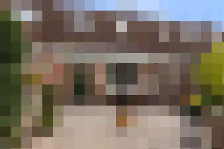 Mansardehof 19 Apeldoorn thumbnail 23