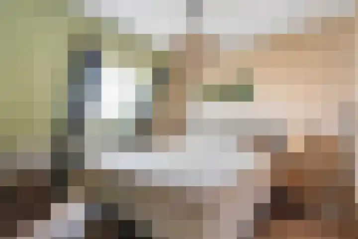Mansardehof 19 Apeldoorn thumbnail 27