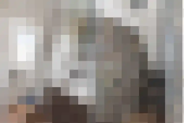 Mansardehof 19 Apeldoorn thumbnail 31