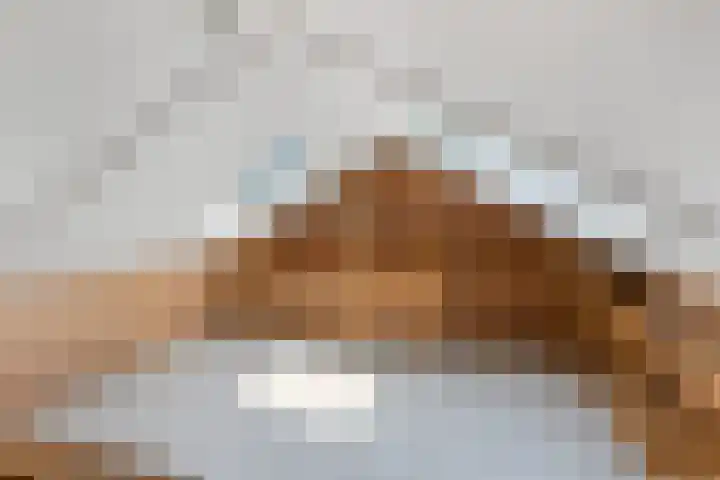 Mansardehof 19 Apeldoorn thumbnail 33