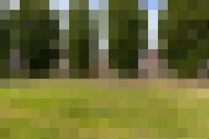 Mansardehof 19 Apeldoorn thumbnail 36