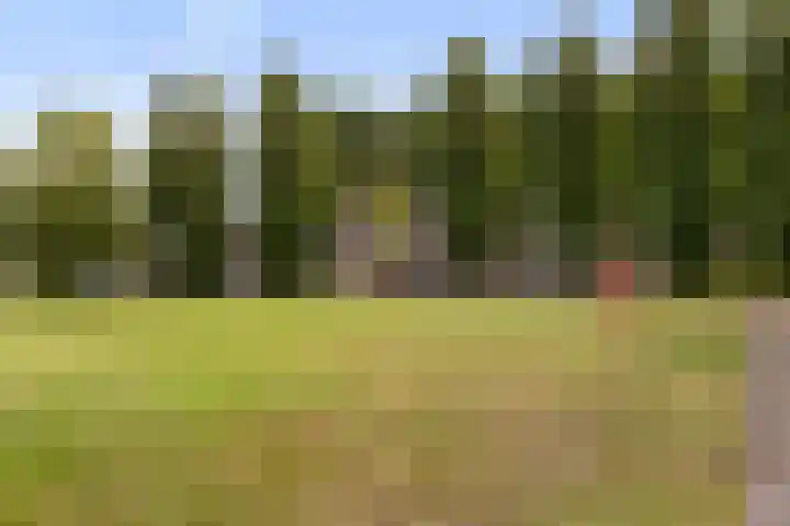 Mansardehof 19 Apeldoorn thumbnail 37