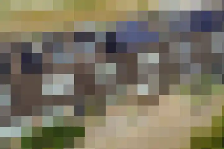 Mansardehof 19 Apeldoorn thumbnail 38
