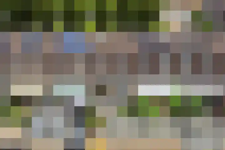 Mansardehof 19 Apeldoorn thumbnail 39