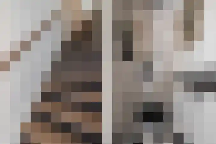 Mansardehof 19 Apeldoorn thumbnail 8