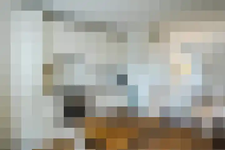 Mansardehof 32 Apeldoorn thumbnail 13