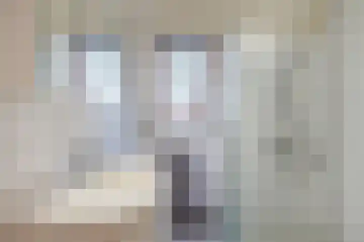 Mansardehof 32 Apeldoorn thumbnail 25