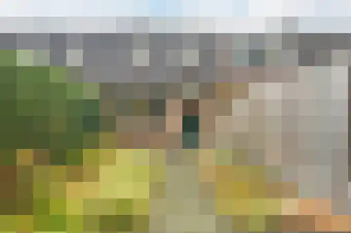 Mansardehof 32 Apeldoorn thumbnail 31