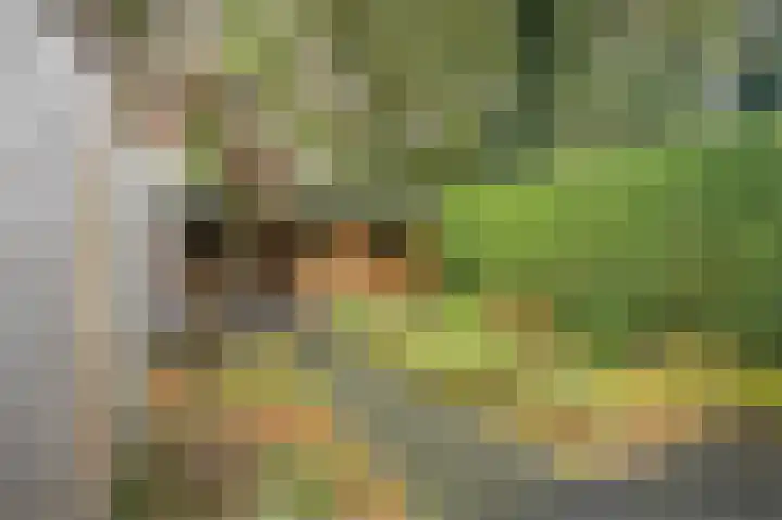 Mansardehof 32 Apeldoorn thumbnail 32