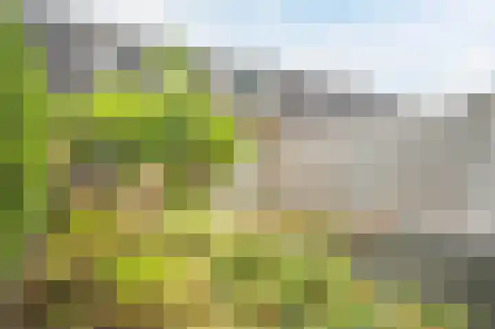 Mansardehof 32 Apeldoorn thumbnail 33