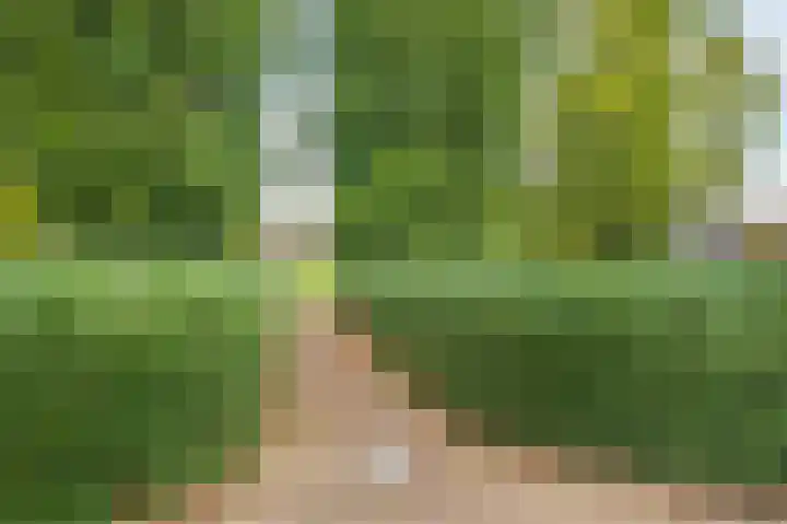 Mansardehof 32 Apeldoorn thumbnail 37