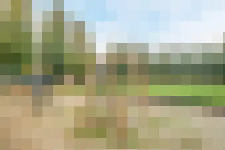 Mansardehof 32 Apeldoorn thumbnail 40