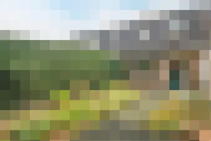 Mansardehof 32 Apeldoorn thumbnail 8