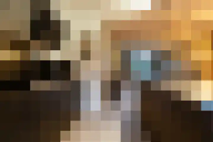 Mansardehof 41 Apeldoorn thumbnail 12