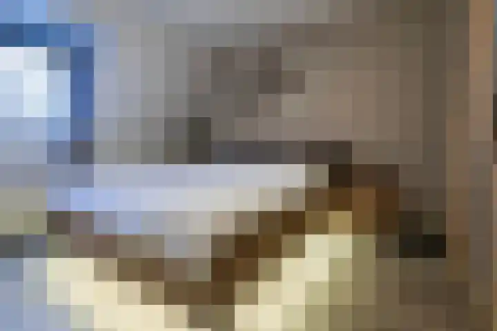 Mansardehof 41 Apeldoorn thumbnail 18