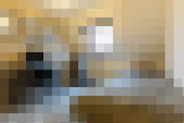 Mansardehof 41 Apeldoorn thumbnail 20