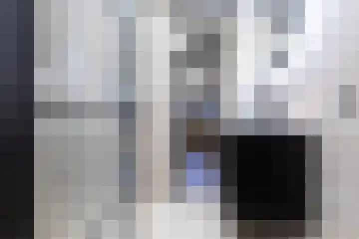Mansardehof 41 Apeldoorn thumbnail 25