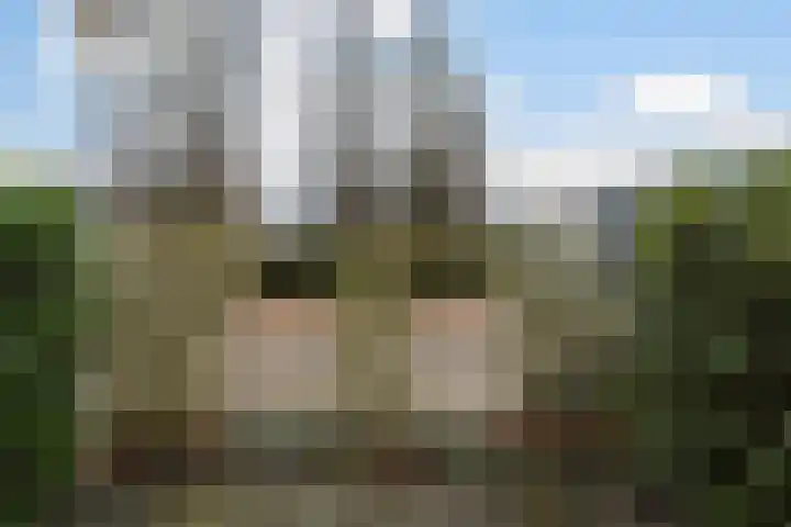 Mansardehof 41 Apeldoorn thumbnail 36