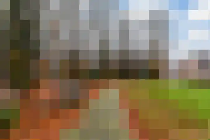 Mansardehof 41 Apeldoorn thumbnail 38