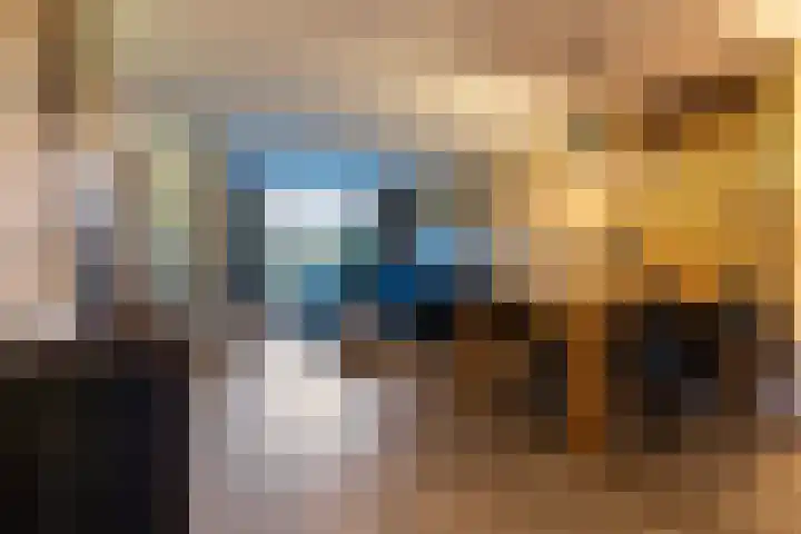 Mansardehof 41 Apeldoorn thumbnail 4