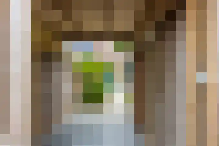 Mansardehof 7 Apeldoorn thumbnail 32