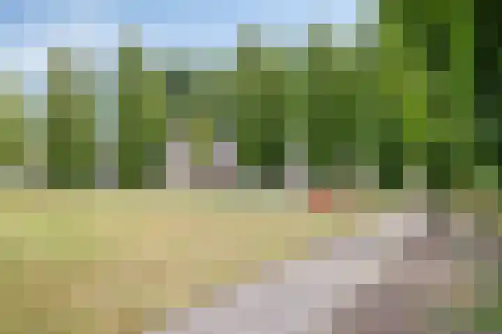 Mansardehof 7 Apeldoorn thumbnail 41