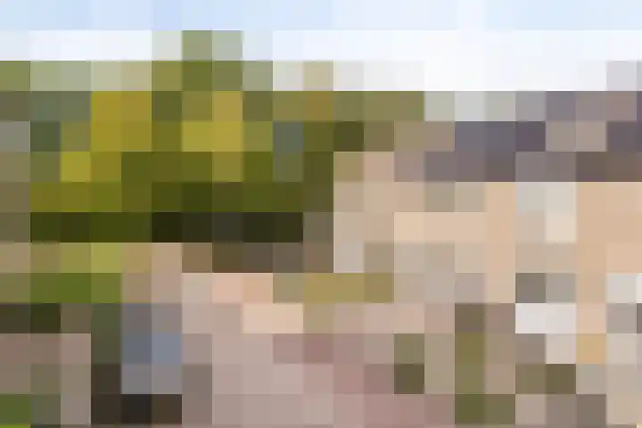Mansberg 146 Groesbeek thumbnail 24