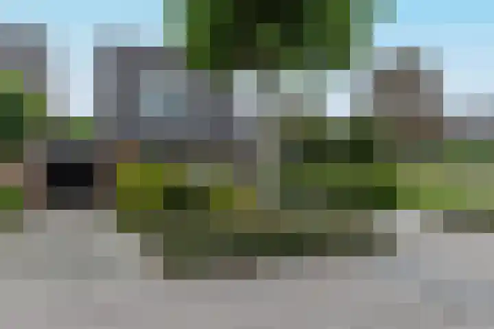 Mansberg 2 Groesbeek thumbnail 18
