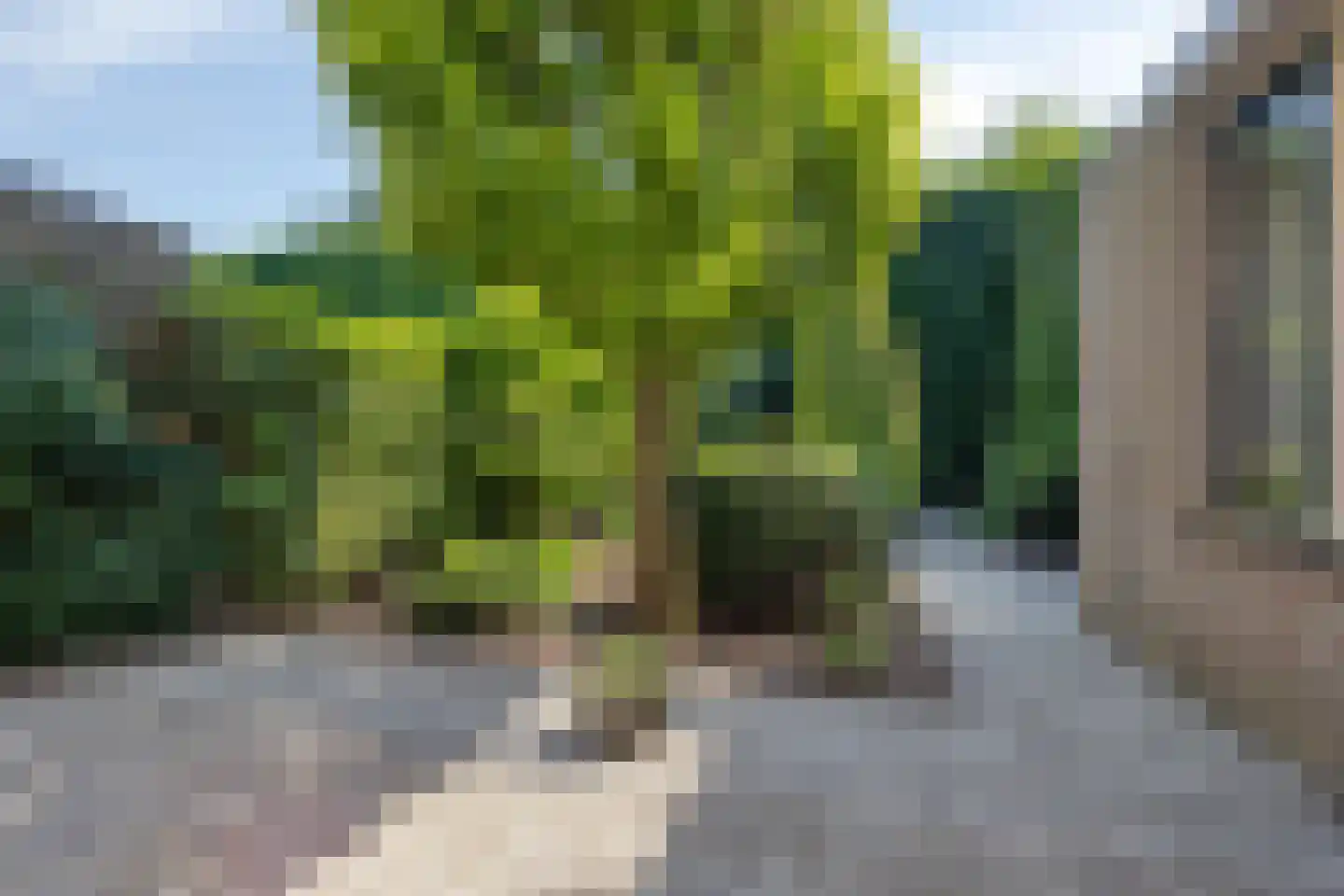 Manschotplein 27 Aalten thumbnail 33