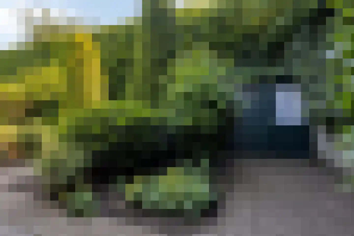 Manschotplein 27 Aalten thumbnail 37