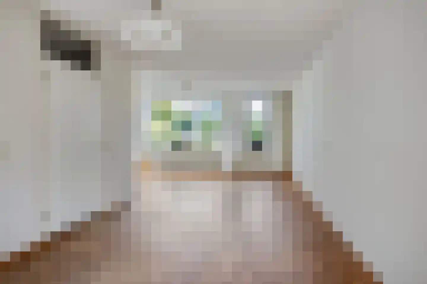 Manschotplein 27 Aalten thumbnail 4