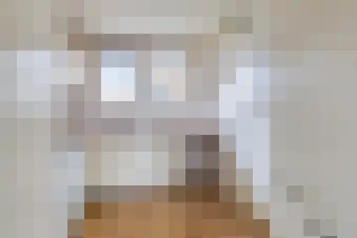 Manschotplein 59 Aalten thumbnail 12
