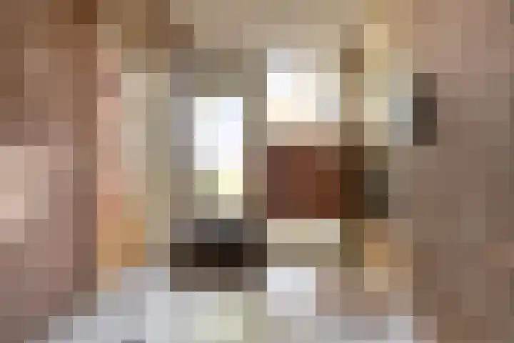 Manschotplein 63 Aalten thumbnail 28