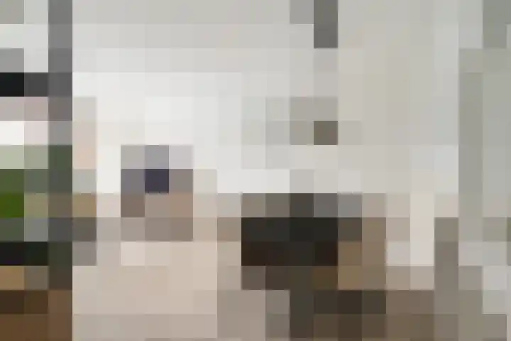 Mansdalestraat 18 Rotterdam thumbnail 5