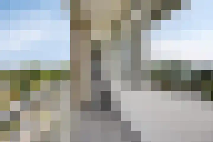 Mansdalestraat 84 Rotterdam thumbnail 13