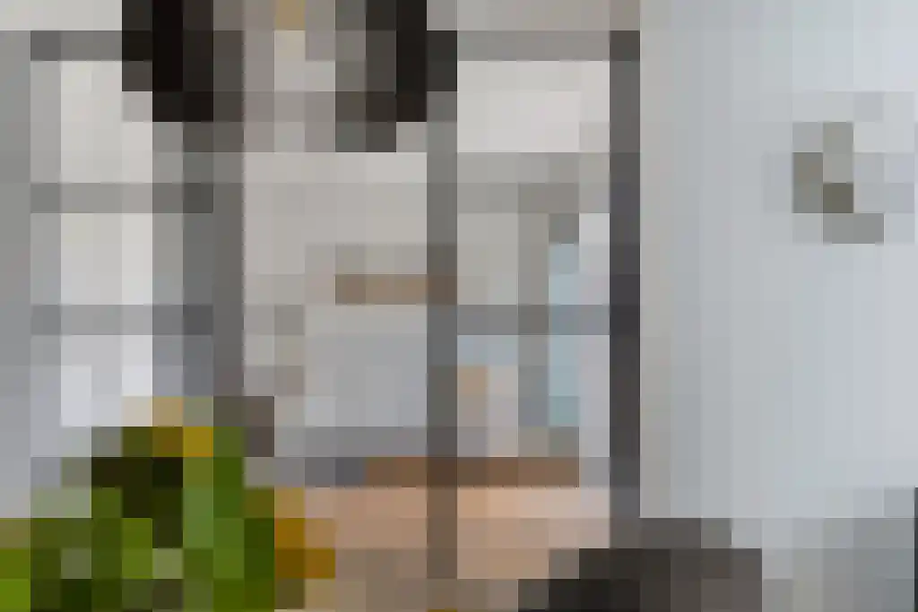 Mansel 56 Sneek thumbnail 13