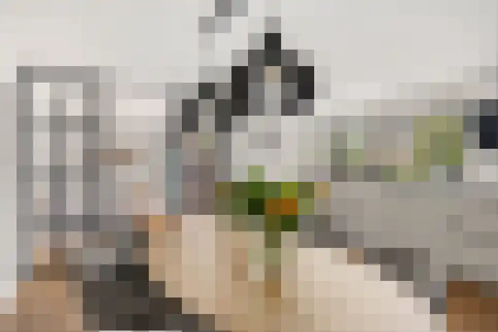 Mansel 56 Sneek thumbnail 14