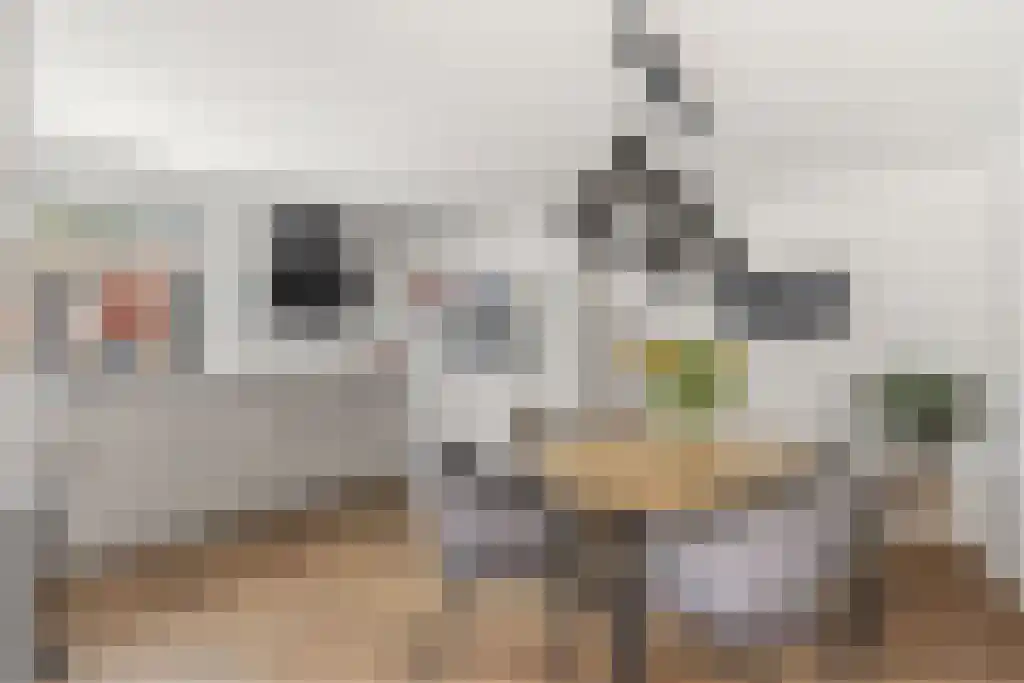Mansel 56 Sneek thumbnail 17
