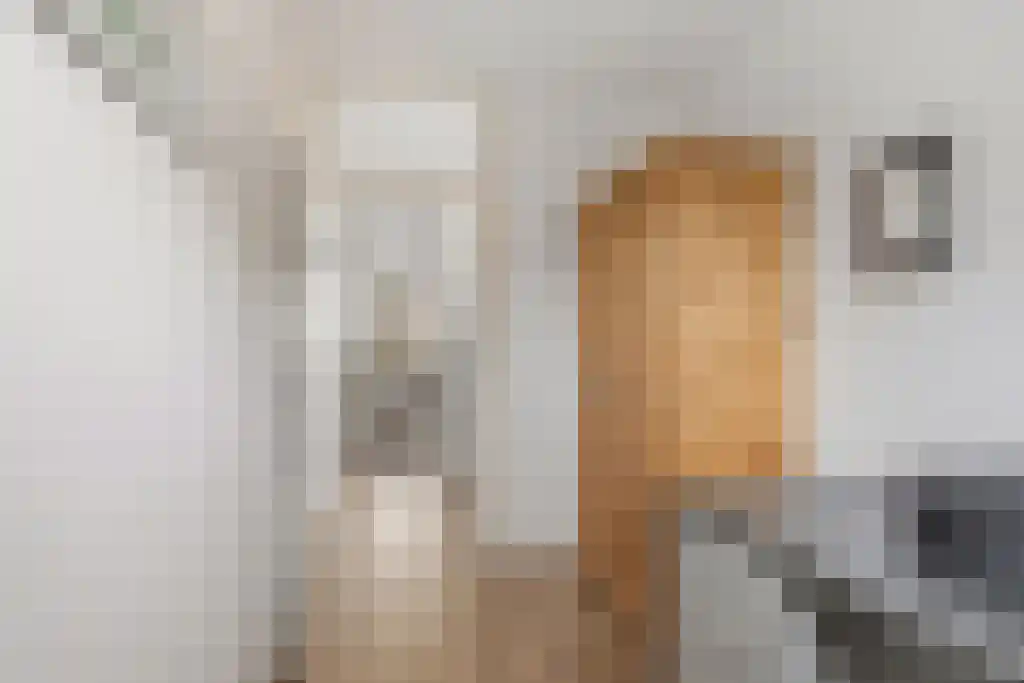 Mansel 56 Sneek thumbnail 24