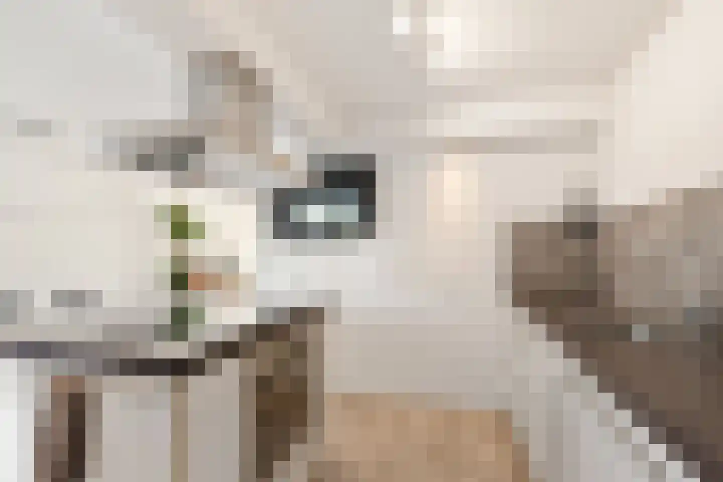 Mansel 83 Sneek thumbnail 19