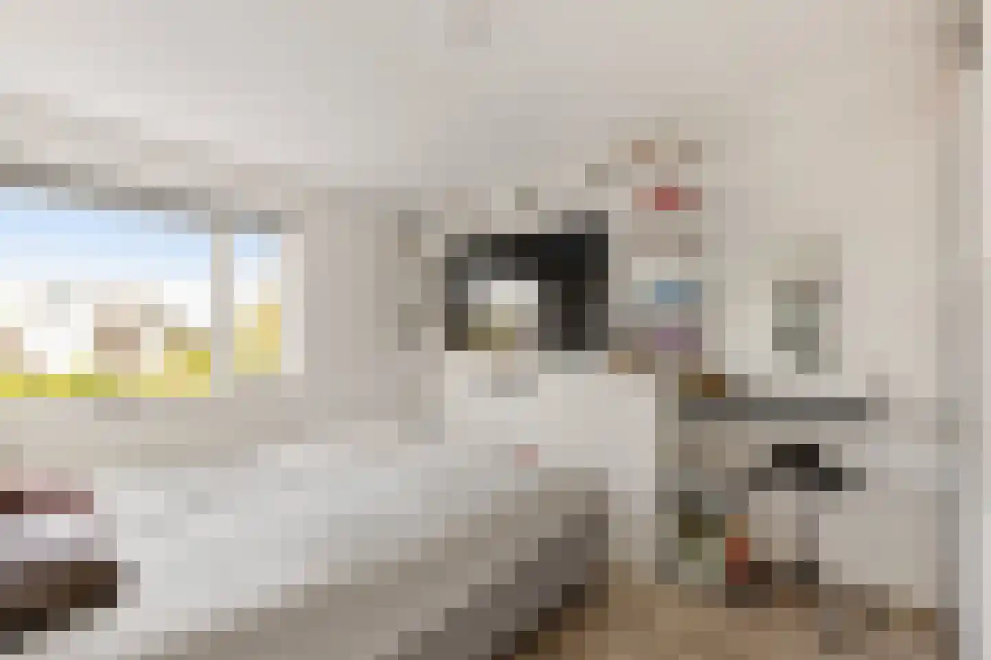 Mansel 83 Sneek thumbnail 27