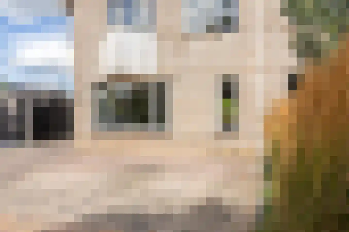 Mansel 83 Sneek thumbnail 6
