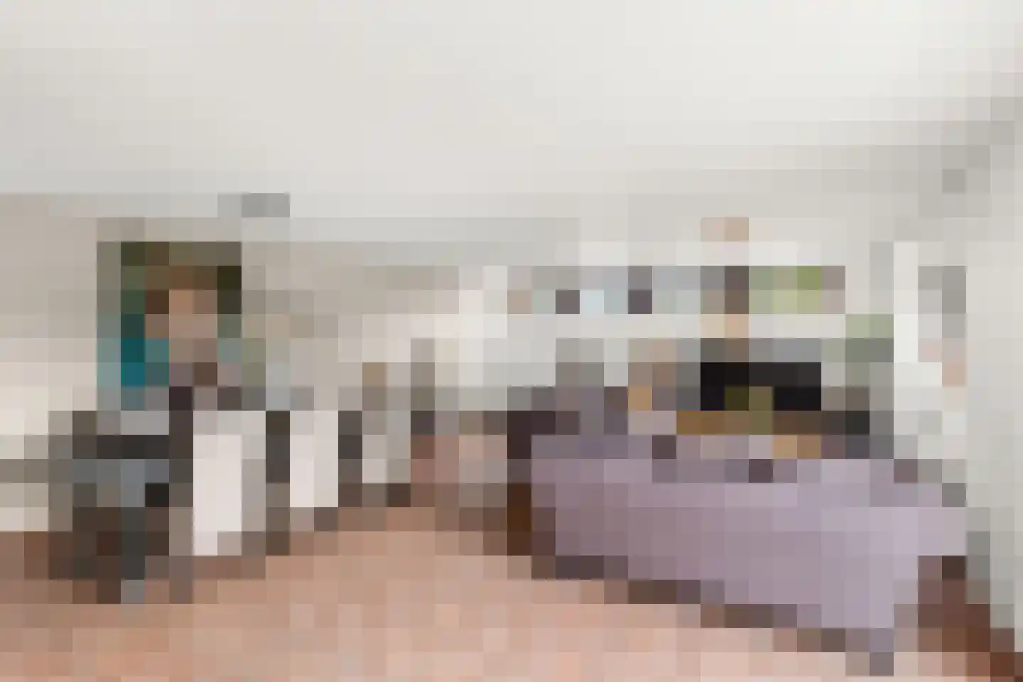 Mansfeldstraat 29 Arnemuiden thumbnail 11