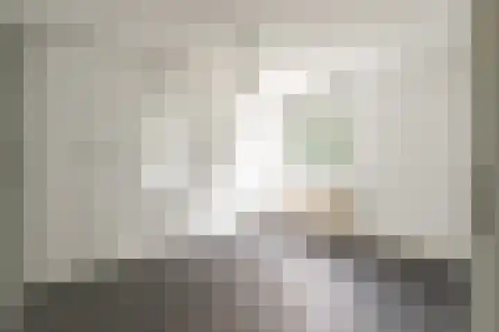 Manshaag 46 Maastricht thumbnail 11