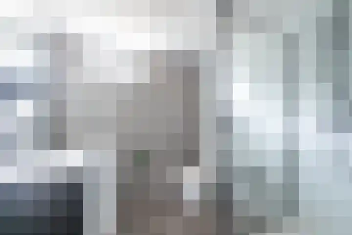 Manshaag 46 Maastricht thumbnail 12