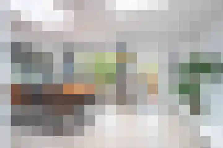 Manshaag 46 Maastricht thumbnail 6