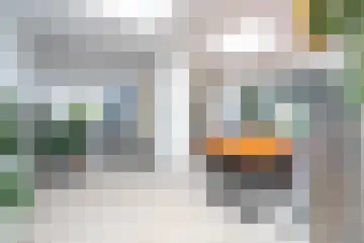 Manshaag 46 Maastricht thumbnail 7