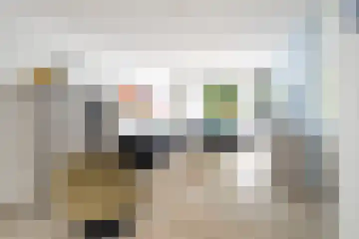 Manshaag 46 Maastricht thumbnail 8